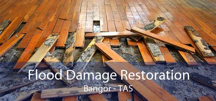 Flood Damage Restoration Bangor - TAS