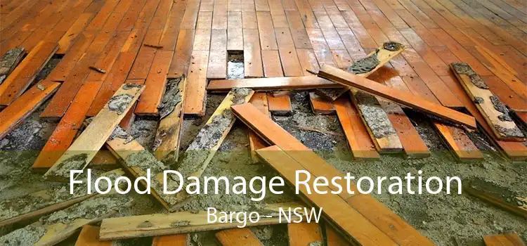 Flood Damage Restoration Bargo - NSW