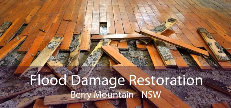 Flood Damage Restoration Berry Mountain - NSW