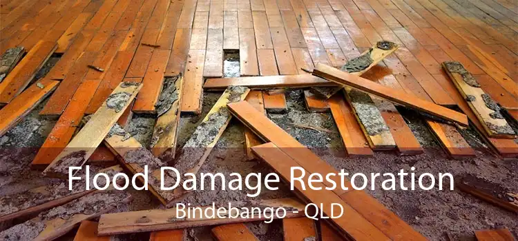 Flood Damage Restoration Bindebango - QLD