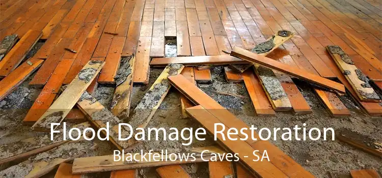 Flood Damage Restoration Blackfellows Caves - SA