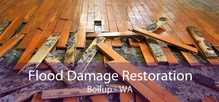 Flood Damage Restoration Boilup - WA