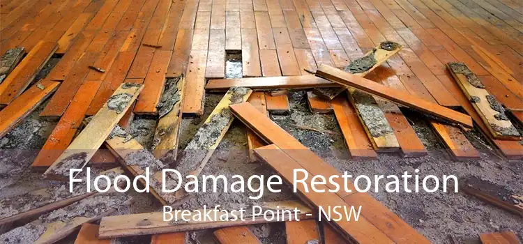 Flood Damage Restoration Breakfast Point - NSW