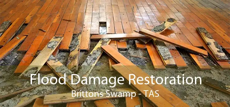 Flood Damage Restoration Brittons Swamp - TAS