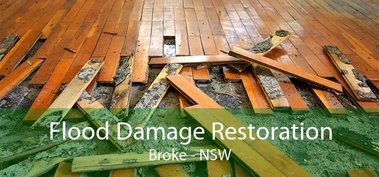 Flood Damage Restoration Broke - NSW