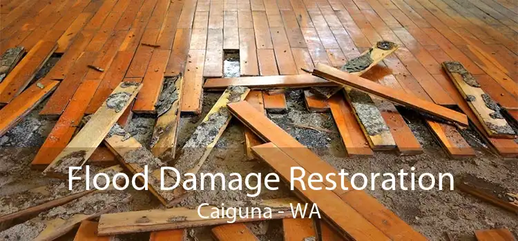 Flood Damage Restoration Caiguna - WA