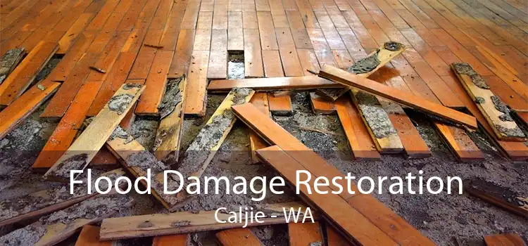 Flood Damage Restoration Caljie - WA