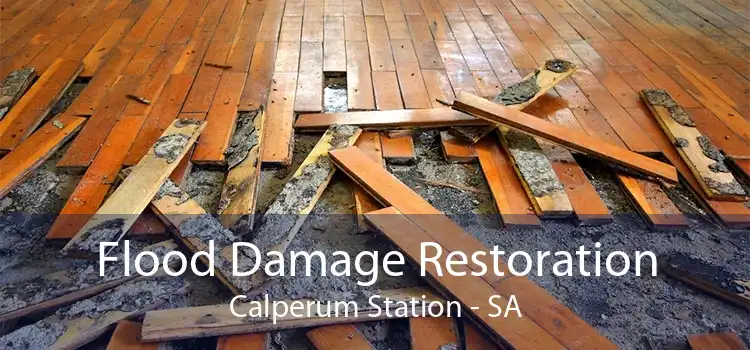 Flood Damage Restoration Calperum Station - SA