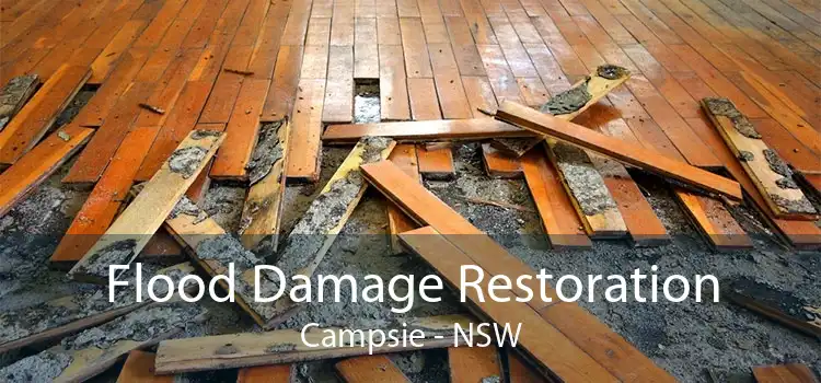 Flood Damage Restoration Campsie - NSW