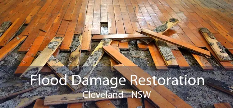 Flood Damage Restoration Cleveland - NSW