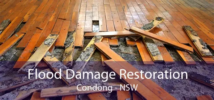 Flood Damage Restoration Condong - NSW