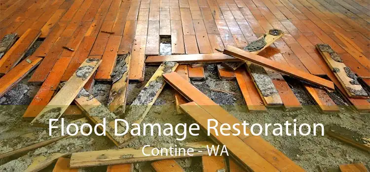 Flood Damage Restoration Contine - WA