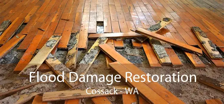 Flood Damage Restoration Cossack - WA