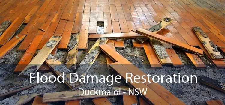 Flood Damage Restoration Duckmaloi - NSW