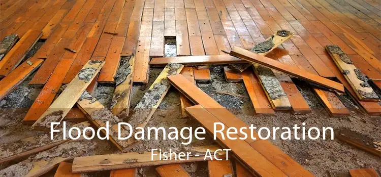 Flood Damage Restoration Fisher - ACT