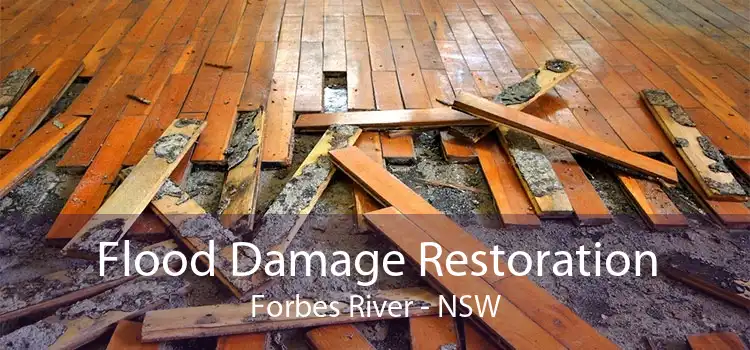 Flood Damage Restoration Forbes River - NSW