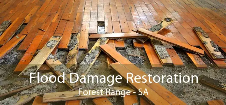 Flood Damage Restoration Forest Range - SA