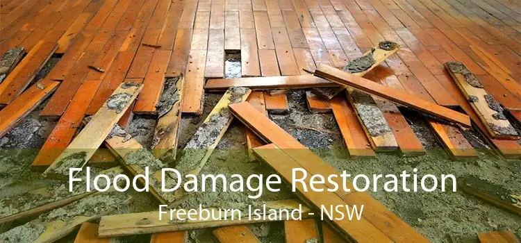 Flood Damage Restoration Freeburn Island - NSW