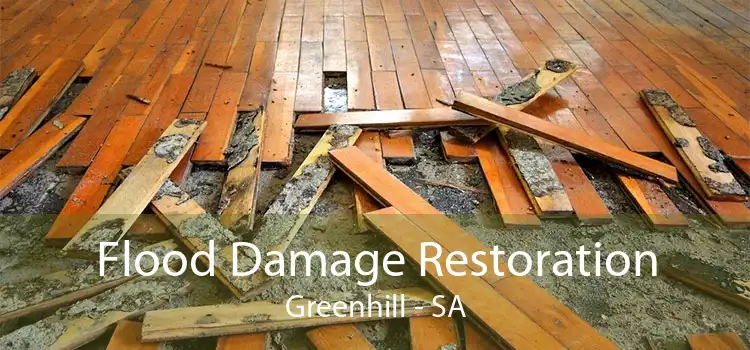 Flood Damage Restoration Greenhill - SA