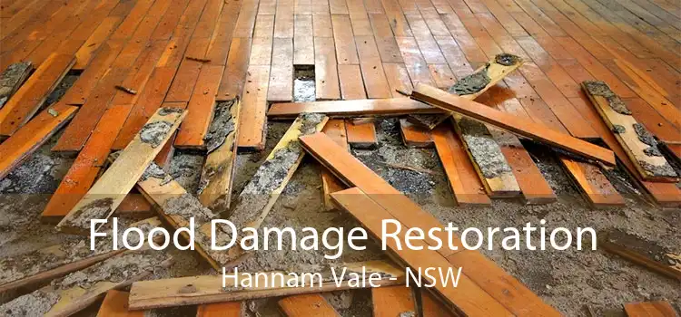 Flood Damage Restoration Hannam Vale - NSW