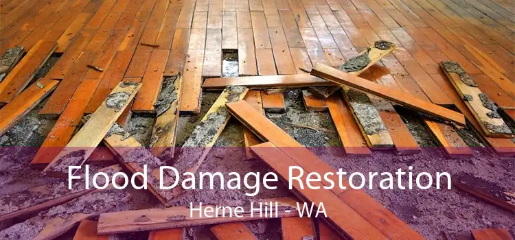 Flood Damage Restoration Herne Hill - WA