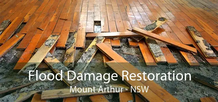 Flood Damage Restoration Mount Arthur - NSW