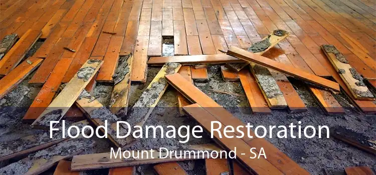 Flood Damage Restoration Mount Drummond - SA