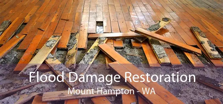 Flood Damage Restoration Mount Hampton - WA