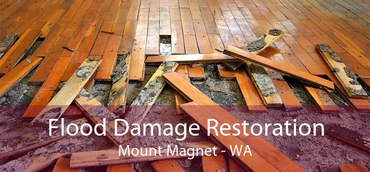 Flood Damage Restoration Mount Magnet - WA
