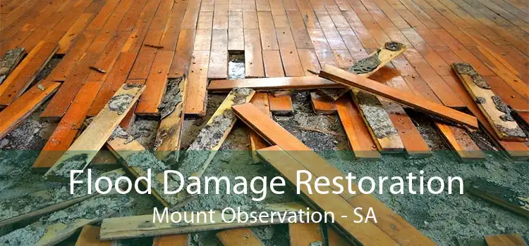 Flood Damage Restoration Mount Observation - SA