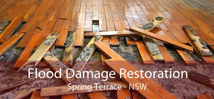 Flood Damage Restoration Spring Terrace - NSW