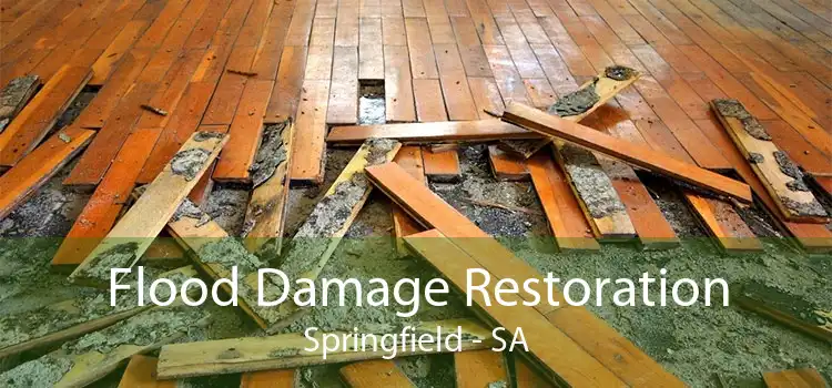 Flood Damage Restoration Springfield - SA