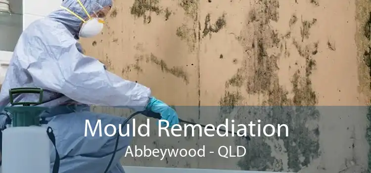 Mould Remediation Abbeywood - QLD
