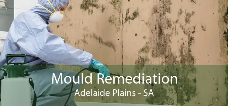 Mould Remediation Adelaide Plains - SA