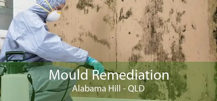 Mould Remediation Alabama Hill - QLD