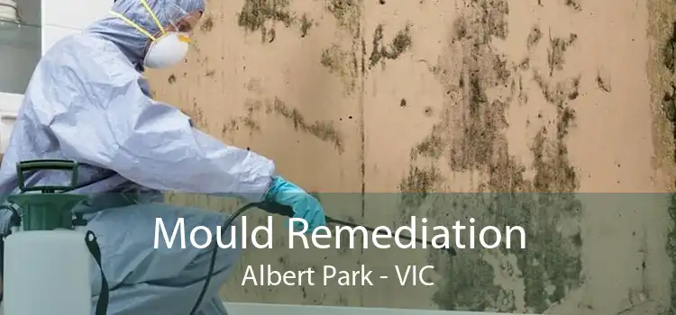 Mould Remediation Albert Park - VIC