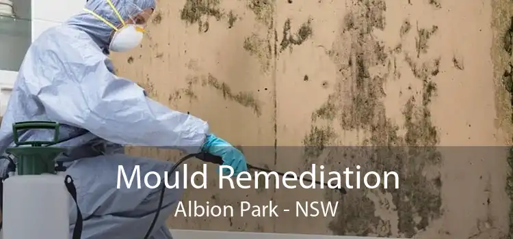 Mould Remediation Albion Park - NSW