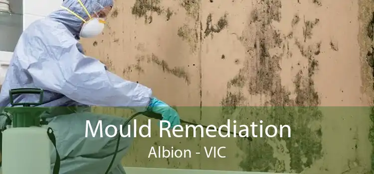 Mould Remediation Albion - VIC