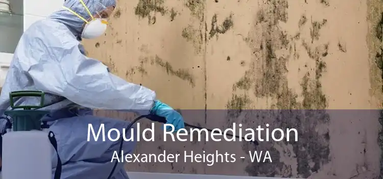 Mould Remediation Alexander Heights - WA