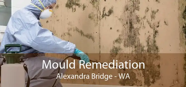 Mould Remediation Alexandra Bridge - WA