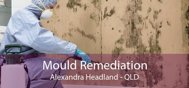 Mould Remediation Alexandra Headland - QLD