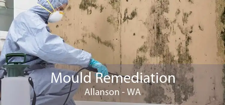 Mould Remediation Allanson - WA