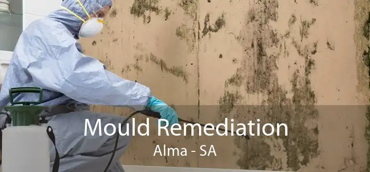 Mould Remediation Alma - SA