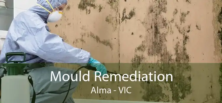 Mould Remediation Alma - VIC