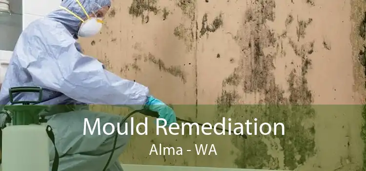 Mould Remediation Alma - WA