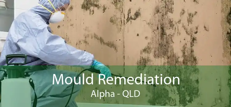 Mould Remediation Alpha - QLD