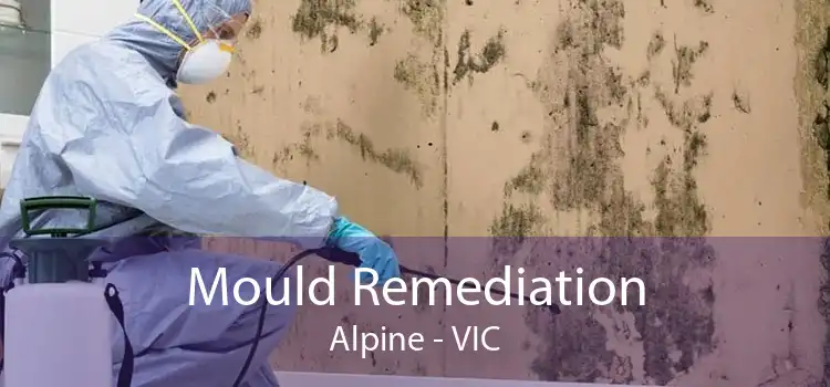 Mould Remediation Alpine - VIC