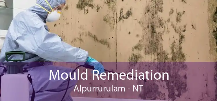 Mould Remediation Alpurrurulam - NT