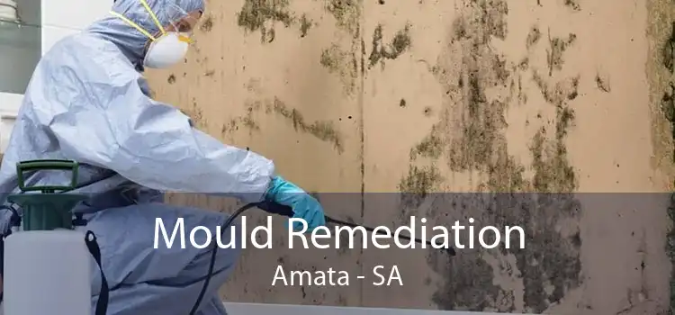 Mould Remediation Amata - SA