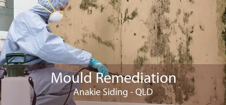 Mould Remediation Anakie Siding - QLD